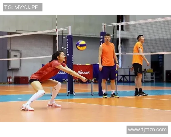 深度对话杨芳排球人生的追求与坚持探索