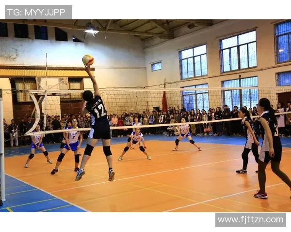 武汉排球队阵地战分析：优劣势与未来发展展望